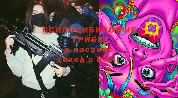 a pvp Белокуриха