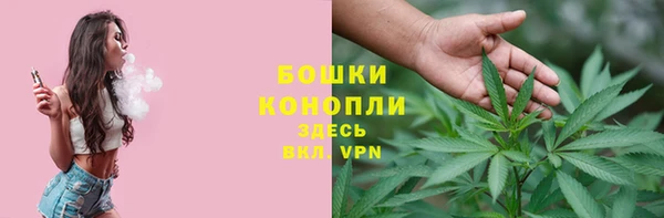 PSILOCYBIN Богородск