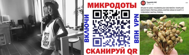 Псилоцибиновые грибы Cubensis  закладки  гидра ТОР  Боровичи 